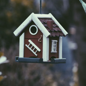 Во Владимире начали приводить в порядок 35 дворов