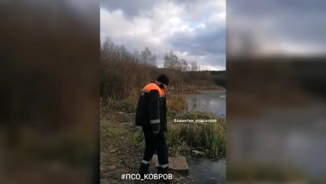 Спасатели предотвратили трагедию с ребенком на пруду в Коврове