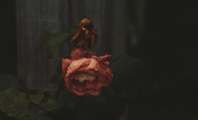 Во Владимире нашли труп 13-летнего подростка