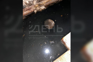 Подвалы многоквартирных домов во Владимире затопило нечистотами