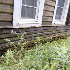 Жители местечка Лучки в Юрьев-Польском взвыли из-за постоянного затопления дома