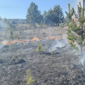 Во Владимирской области 19 человек оштрафовали за поджоги травы