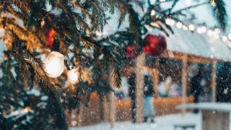 Во Владимирской области синоптики рассказали о погоде на Новый год