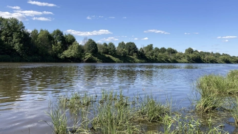 В Вязниках спасли тонущего 38-летнего мужчину