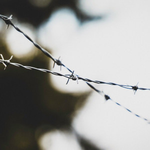 В Покрове ликвидировали тюрьму для осужденных с туберкулезом