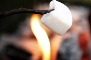 В Свердловской области дети пожарили зефир на Вечном огне