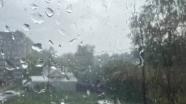 Во Владимирской области началась неделя дождей