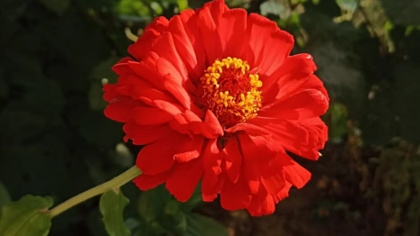 Во Владимирскую область придет долгожданное тепло