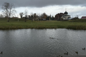 Прогноз погоды во Владимирской области на 7 ноября 2025 года