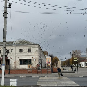 Прогноз погоды во Владимирской области на 20 сентября 2025 года