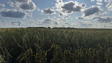 Прогноз погоды во Владимирской области на 8 августа 2025 года