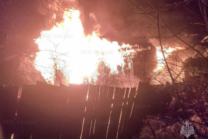 МЧС показало кадры с места гибели 3 человек на пожаре под Гороховцом