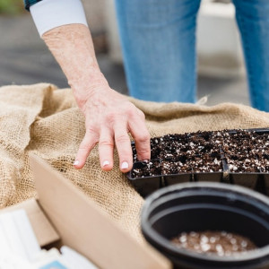 Владимирские дачники пожаловались на отмену дневного рейса Ставрово-Кишлеево