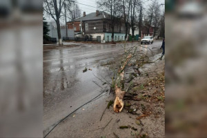 Жители Коврова остались без интернета