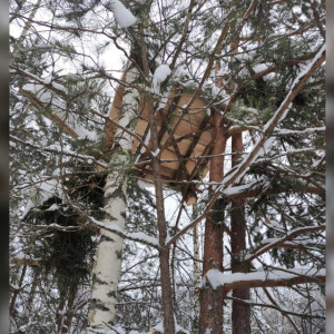 В Гусь-Хрустальном районе нашли браконьерские засидки