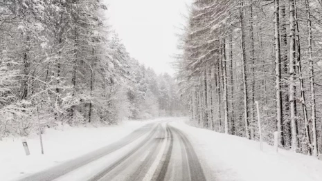 На платнике М-12 во Владимирской области пообещали снег