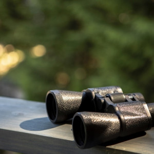 Житель Владимирской области пытался незаконно отправить военную технику за границу