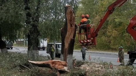 Во Владимире ураган 28 сентября повалил деревья