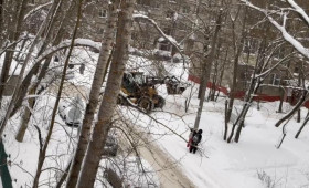 Во Владимирской области еще два района остались без света из-за снегопада