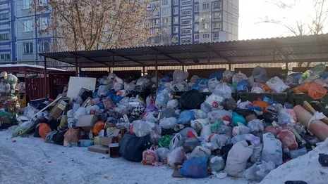Город Владимир утонул в мусоре