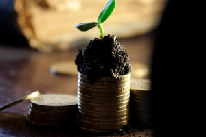 В России решили увеличить МРОТ на 18,5%