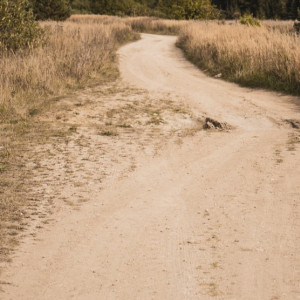 Жители владимирской деревни испугались остаться без единственной дороги в город