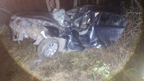 В Петушинском районе иномарка влетела в дерево: двое попали в больницу