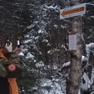 В лесах Владимирской области появятся стрелки-указатели для потеряшек