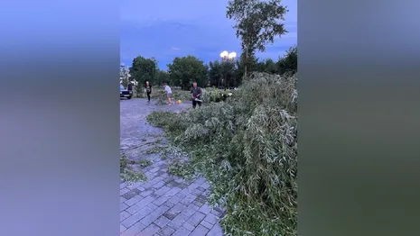 Последствия урагана во Владимире устраняли 30 человек