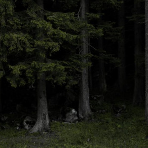 Во Владимирской области 42-летнего мужчину с рюкзаком нашли мертвым