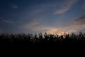 Прогноз погоды на 3 апреля 2024 года во Владимире и области