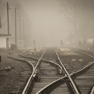 Во Владимирской области пропавшего отца двоих детей нашли мертвым