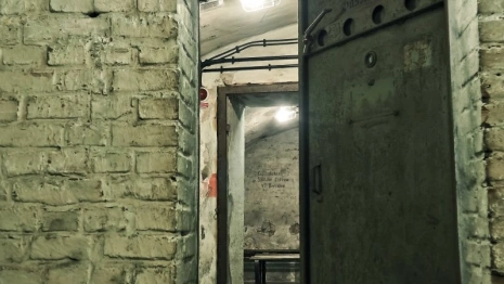 Во Владимирской области вскрылись проблемы с убежищами