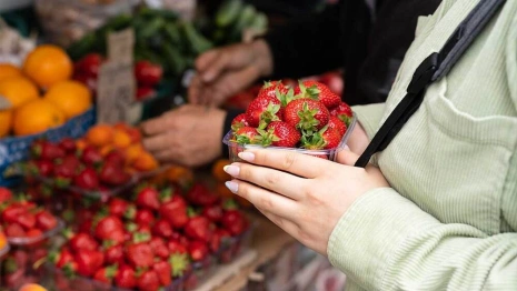 Во Владимире заработала традиционная сельхозярмарка