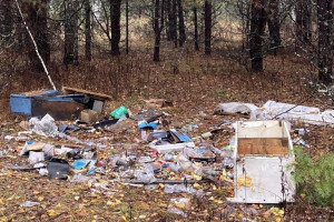 В Меленках территорию у пруда Шампунька завалили мусором