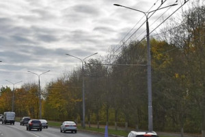 Во Владимире приостановили строительство дороги у ДТЮ