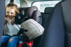 Во Владимире на Растопчина в ДТП пострадал 6-летний ребенок