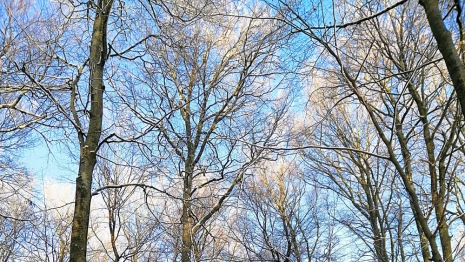 Народные приметы: что можно и нельзя делать 11 января в Страшный день