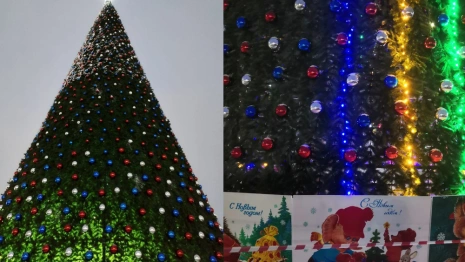 Во Владимире у Белого дома нарядили елку