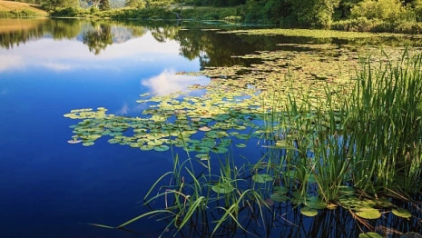 Следком начал проверку после гибели мужчины в Клязьме во Владимире