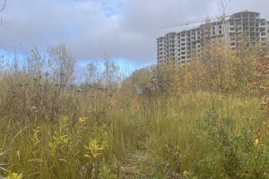 Мэр Владимира объяснил, почему застройка радиомогильника у ВлГУ безопасна