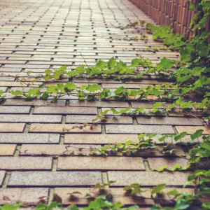 Шесть владимирских городов поборются за многомиллионные гранты от Минстроя