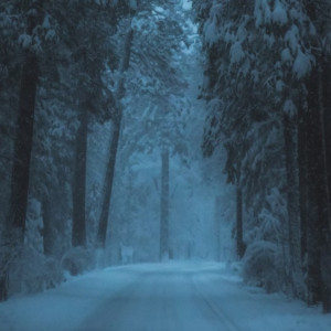 Во Владимирской области нашли мертвым 85-летнего дедушку