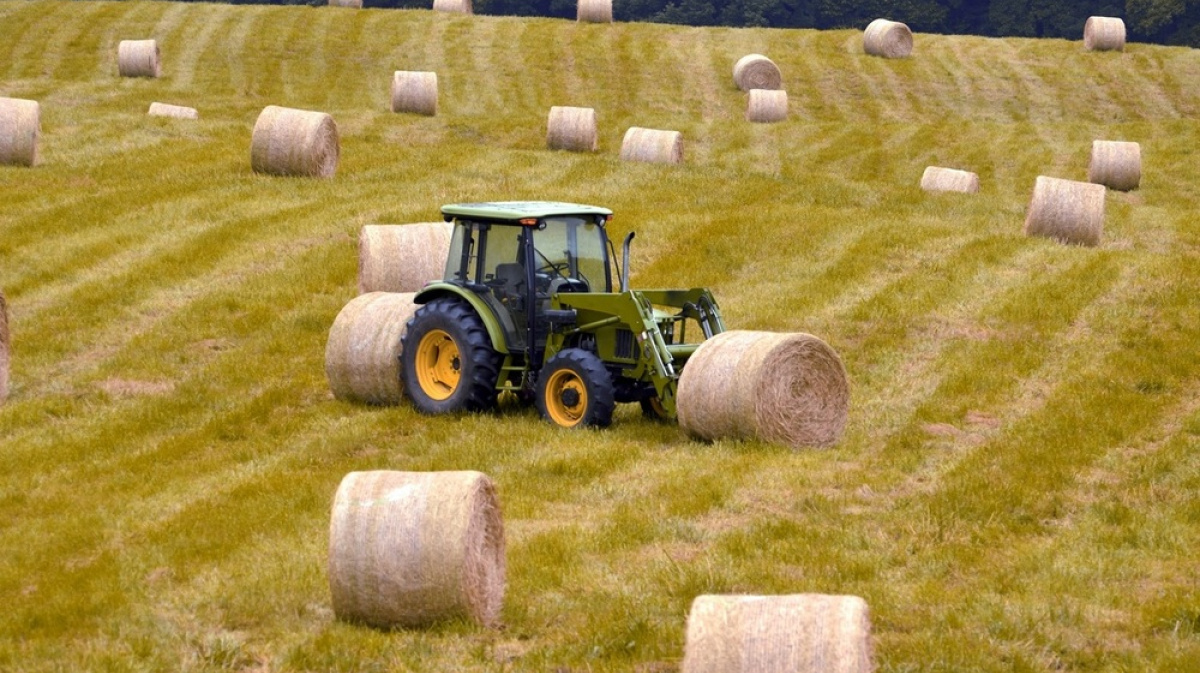 В Александрове нажившаяся на трактористах директор автошколы пойдет под ...