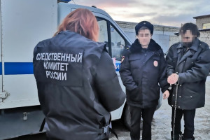 Во Владимирской области сын расправился с матерью