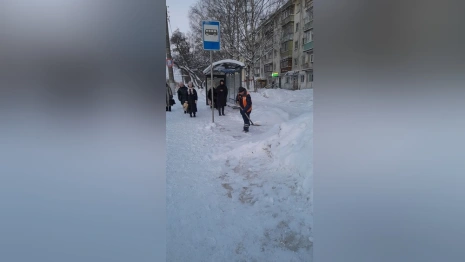 Мэр Владимира рассказал о борьбе с циклоном Ольга 
