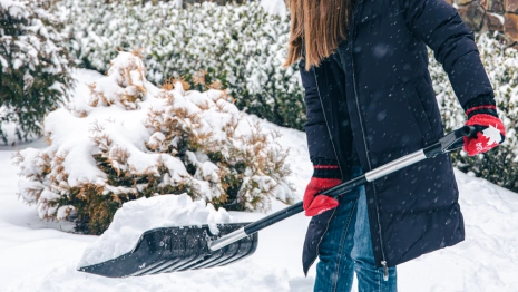 Во Владимирскую область надвигается новый снегопад