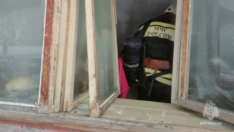 Стала известна личность погибшего на пожаре в Муроме мужчины