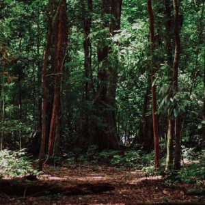 Волонтеры опубликовали трогательную историю о пропавшем во Владимирской области дедушке