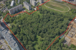 Козий парк во Владимире могут выставить на продажу